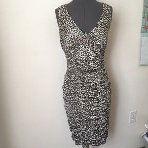 Charlotte Russe - Leopard Print Dress - Size L